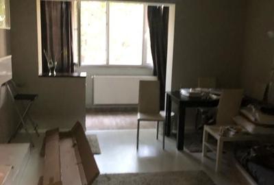 Garsonieră decomandată în Costin Georgian - 8