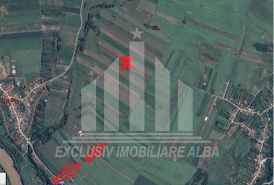 Teren agricol extravilan de 8000 mp, în Ciugud - 3