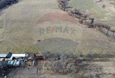 Teren 2925 mp comuna Mitocu Dragomirnei - 9