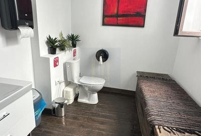 Vila Interbelica | 10 Camere | Inchiriere | Co-working | IT *Cismigiu* - 28