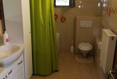 Casa noua, P+E, Stefanesti-Golesti, teren  877mp - 18