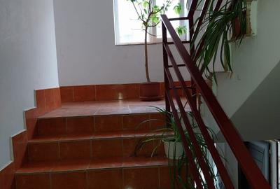 Garsonieră decomandată în Vișan - 2