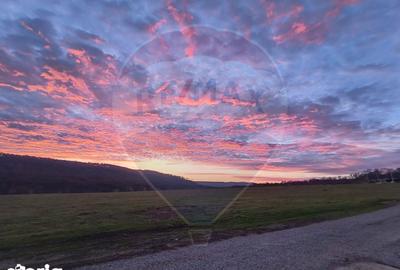 Casă cu 5 camere cu Teren 1000 Mp în Tăcuta