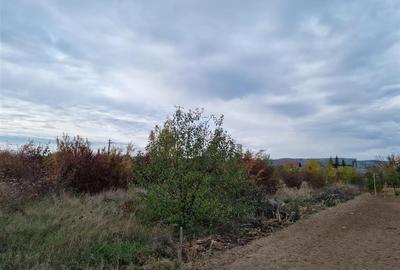 Teren intravilan de vanzare Teren intravilan de vanzare - 3