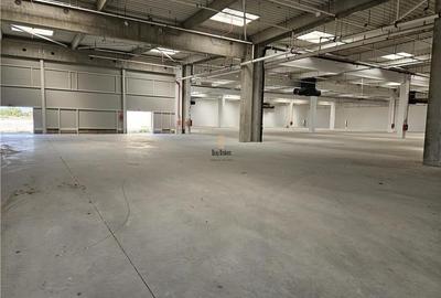 Spatiu Industrial - 3000 mp - Logistica - Productie - Depozitare - Distributie - 3