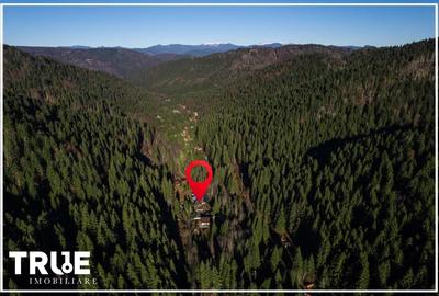 Cabană 210 m² + teren 1400 m² | Sălard, Mureș - 2