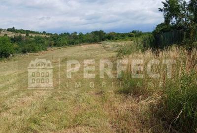 Teren 5590 mp INTRAVILAN Baicoi pret 17 euro/mp - 9