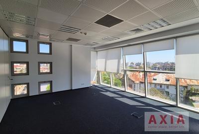 Inchiriere birouri Armand Business Center - 4