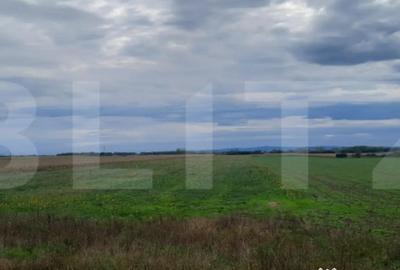 Teren de 21750 mp, în Semicentral - 1