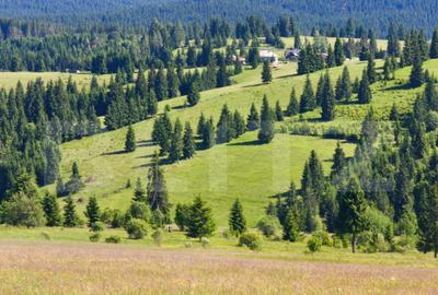 Teren de 2817 mp, în Piatra - 5