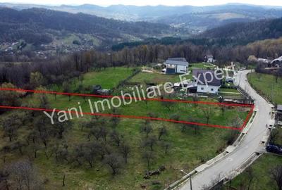 Teren de vanzare in comuna Valea Iasului, sat Cerbureni, jude? Arge?. - 5