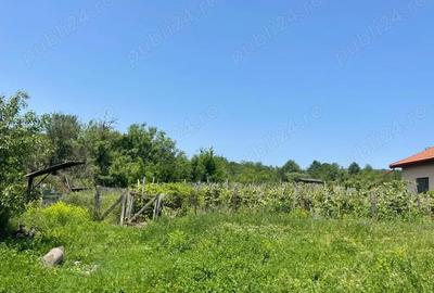 Casă cu 3 camere cu Teren 3800 Mp în Bălănești - 4