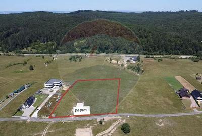 Teren 3,757mp Paltinoasa / Strada principala - 9