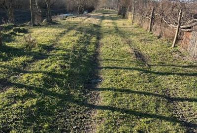 Teren- intravilan in DELTA- loc BALTENII DE JOS - 2