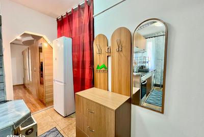 Apartament cu 2 camere nedecomandat, mobilat în Cedonia