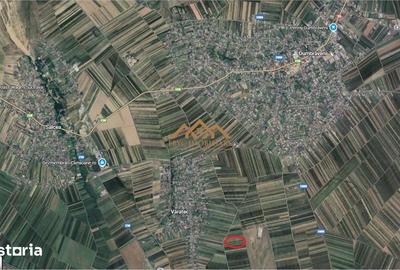 Teren de 5000 mp, în Central - 2