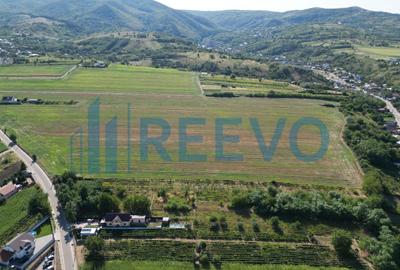 Teren Construcții intravilan de 7366 mp, în Sărata (Sărata) - 10