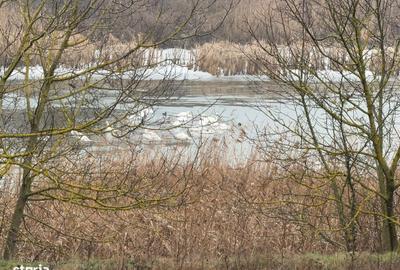 Spațiu comercial, în Moara Vlăsiei - 9