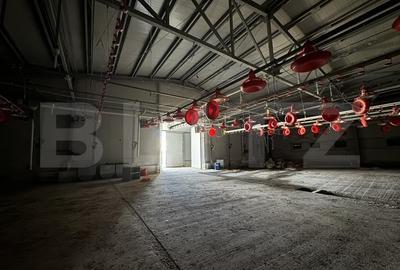 Spațiu industrial, de 4,403 mp, în Bucovăț - 4