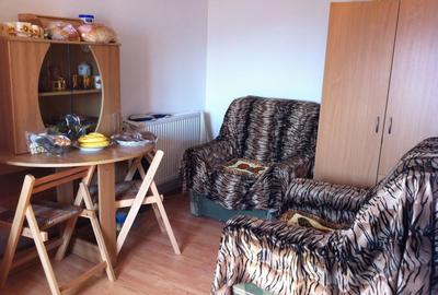 Casă cu 2 camere cu Teren 2650 Mp în Căinelu de Sus - 7