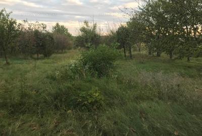 Teren Construcții intravilan de 500 mp, în Podu Iloaiei - 9