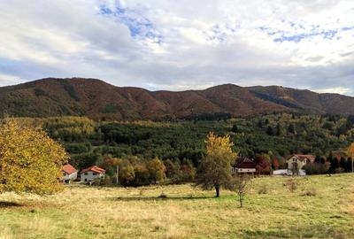 Parcele Teren cu PUZ si toate utilitatile / Cisnadioara-Sibiu - 8