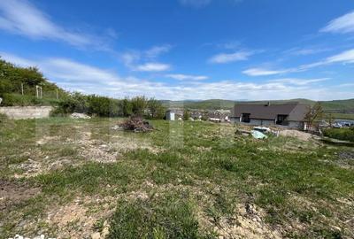 Teren de 1000 mp, în Viișoara - 9