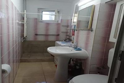 Apartament cu 2 camere nedecomandat, mobilat în Șagului - 7