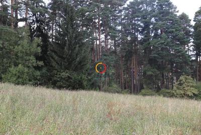 Teren de 1195 mp, în Poiana Angelescu - 2