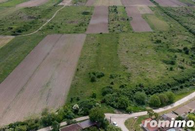 Teren extravilan 5000 mp Urseni, Timi? - 3