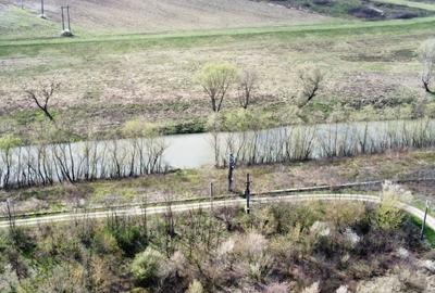 Teren intravilan Balint 22.500 mp - 7