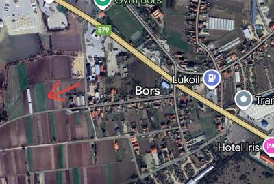 Teren intravilan de 3241 mp, în Borș - 1