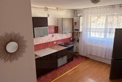 Garsonieră în Terezian - 6
