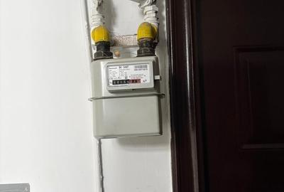 Apartament 2 camere  Soseaua Giurgiului - 10