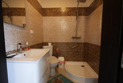 Casa de vanzare, parter 4 camere, garaj, 1424mp teren - Bucium- Visani, IASI - 12