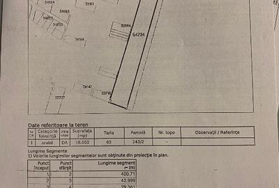 Teren intravilan Dascalu , 18000 m /17€ m2 - 9
