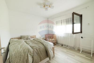 Teren 9.4 ha extravilan + casa 230 mp - 11
