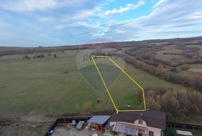 Teren agricol extravilan de 5800 mp, în Purcăreni - 5