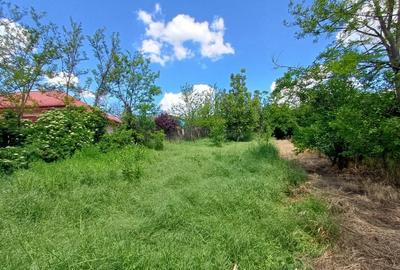 Teren Construcții intravilan de 602 mp, în Podiș Beldiman - 1