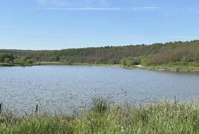 Casa pe malul lacului Paleu teren 510 mp - priveliste deosebita - 2