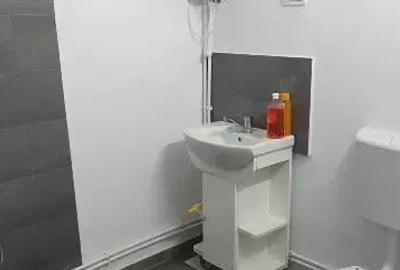 Casă cu 3 camere cu Teren 3200 Mp în Mihăileni - 4