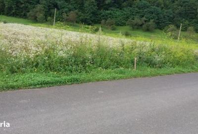 Teren de 5735 mp, în Ribița - 5