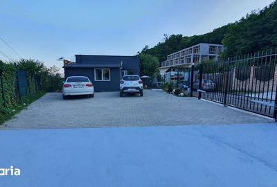 Casă cu 3 camere cu Teren 100 Mp în Baciu - 7
