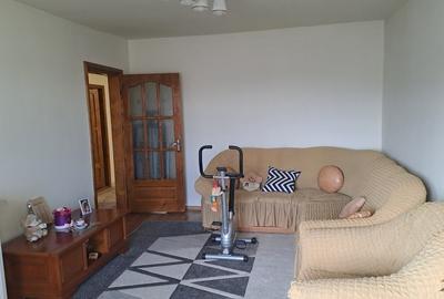 Apartament cu 3 camere decomandat, mobilat în Șag - 12