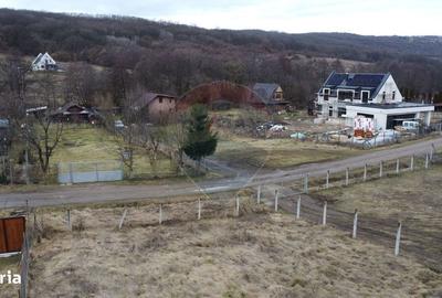 Spațiu comercial, în Tăuți - 19