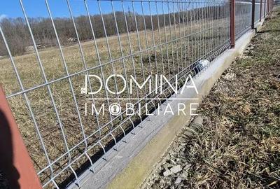 Teren de 1184 mp, în Drăguțești - 3