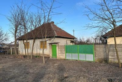 Casă cu Teren 1519 Mp în Boiu - 1