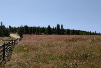 Vand Teren in Maguri, comuna Maguri-Racatau - 3