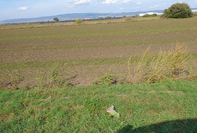 Teren arabil, 5,50 ha, vladeni, jud ialomita, 9000 euro/ha - 1