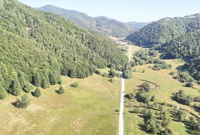2 Loturi aprox.2200mp 25EUR/(total 6696mp) Barsa Fierului / Plaiul Foii - 3